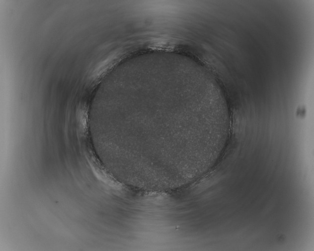 X0000113631154200910091549