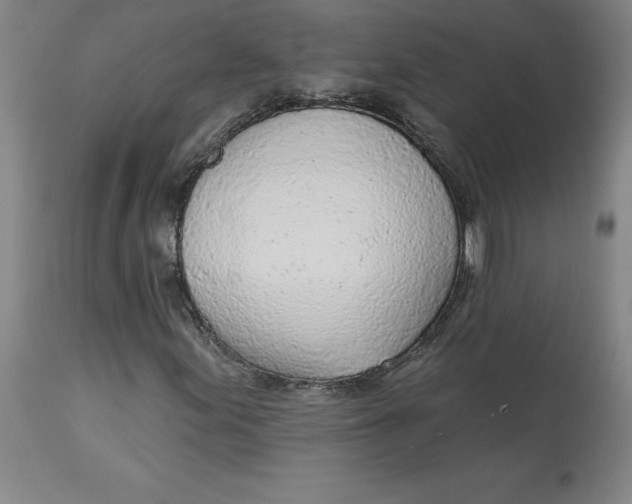 X0000113631155200910091549