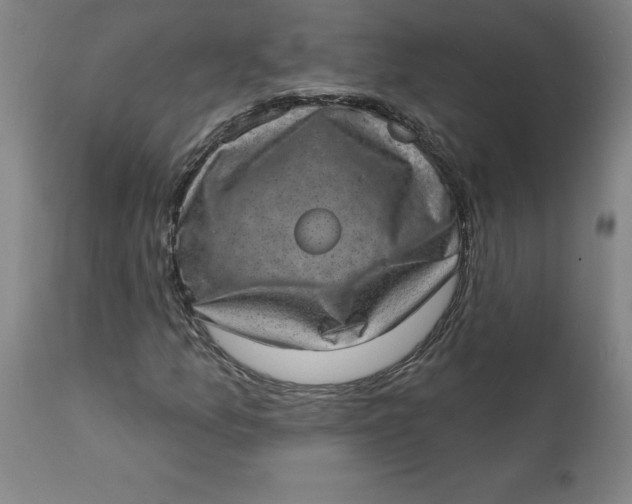 X0000113631157200910091549