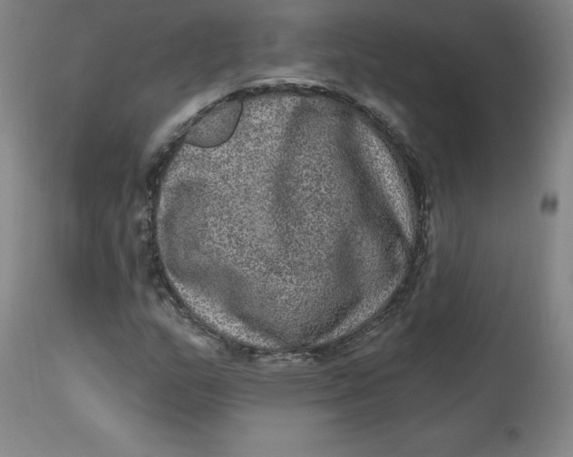 X0000113631159200910091549