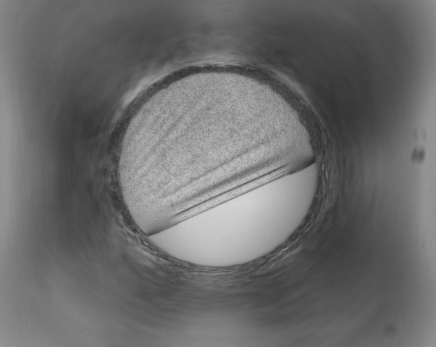 X0000113631160200910091549