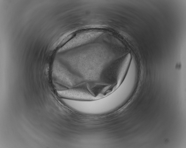 X0000113631161200910091549