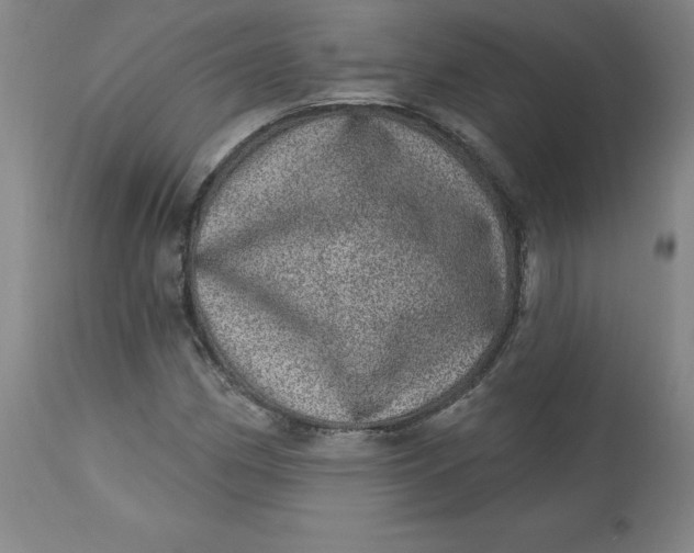 X0000113631162200910091549