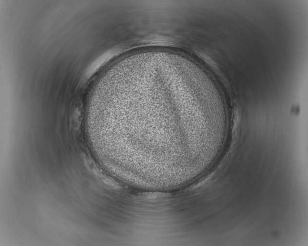 X0000113631163200910091549