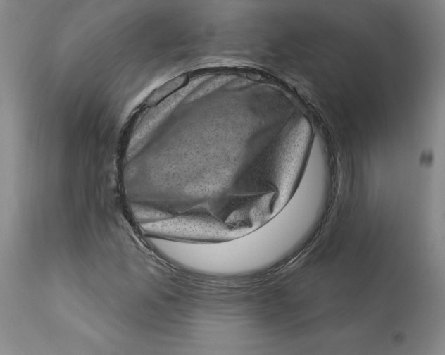 X0000113631165200910091549