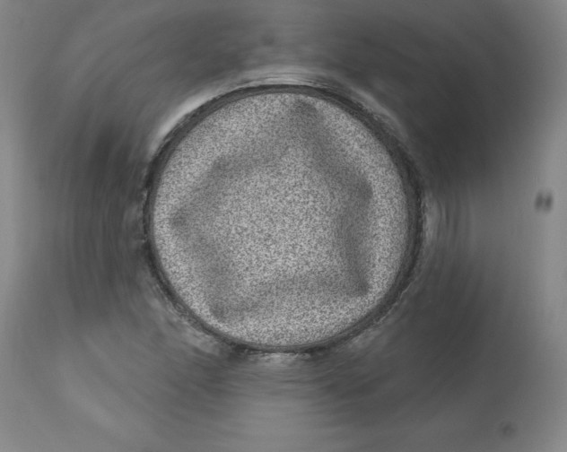 X0000113631166200910091549