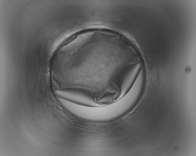X0000113631167200910091549