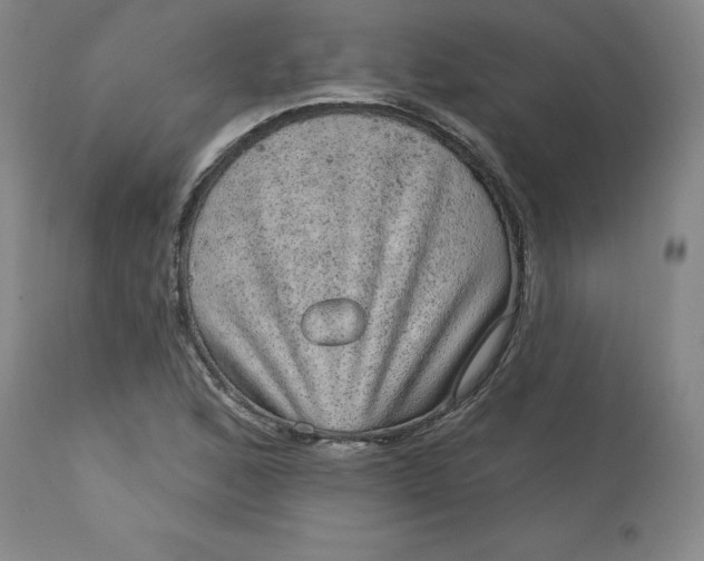 X0000113631168200910091549