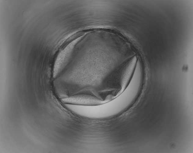 X0000113631169200910091549