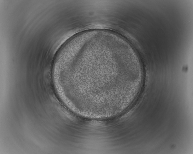 X0000113631170200910091549