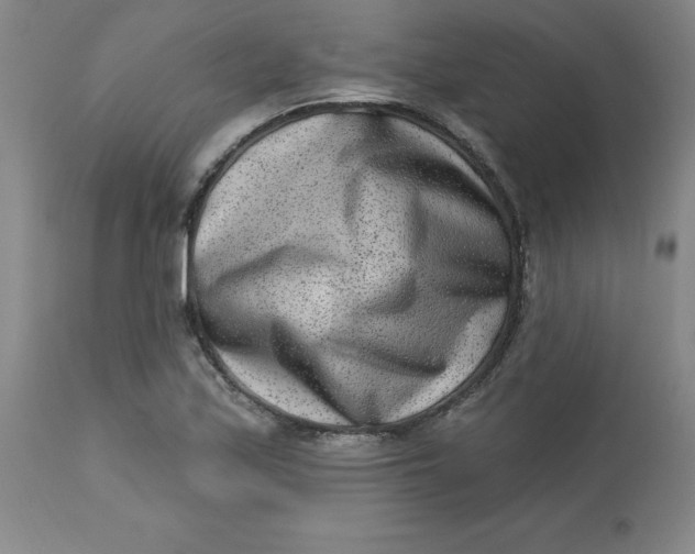 X0000113631171200910091549
