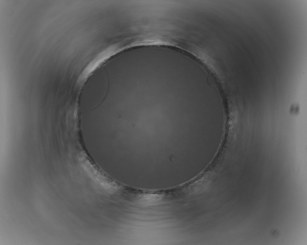 X0000113631173200910091549