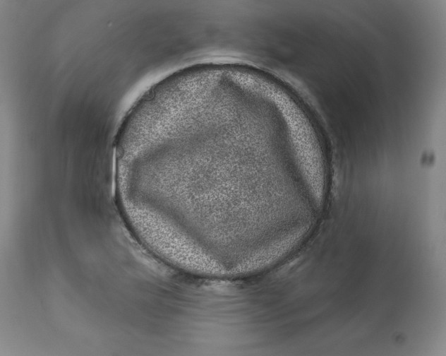 X0000113631175200910091549