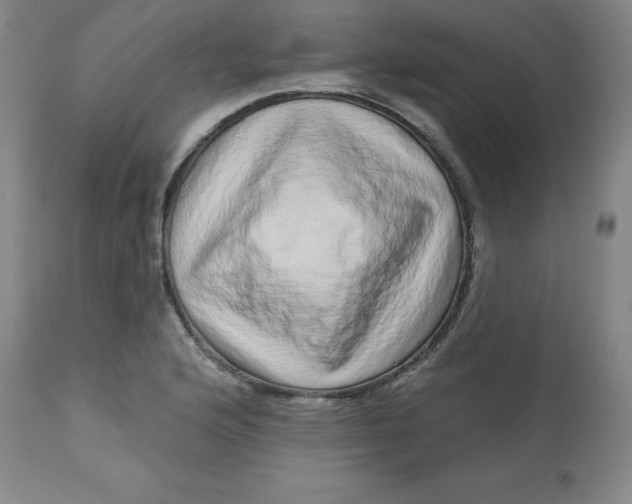 X0000113631176200910091549