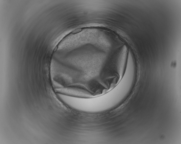 X0000113631177200910091549