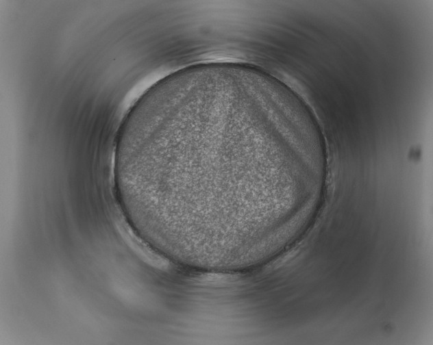X0000113631179200910091548