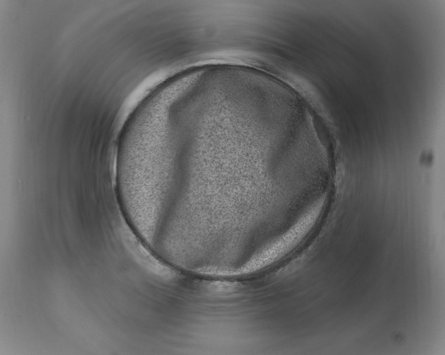 X0000113631180200910091548