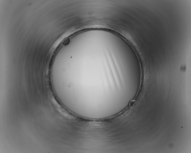 X0000113631181200910091548