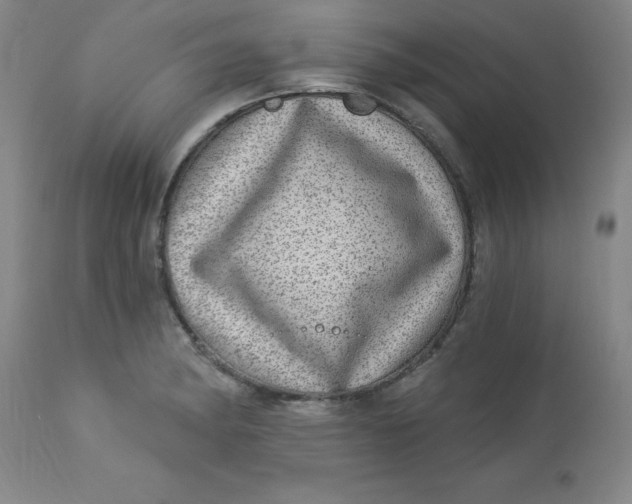 X0000113631182200910091548