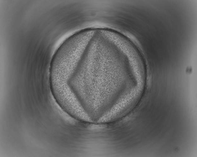 X0000113631183200910091548