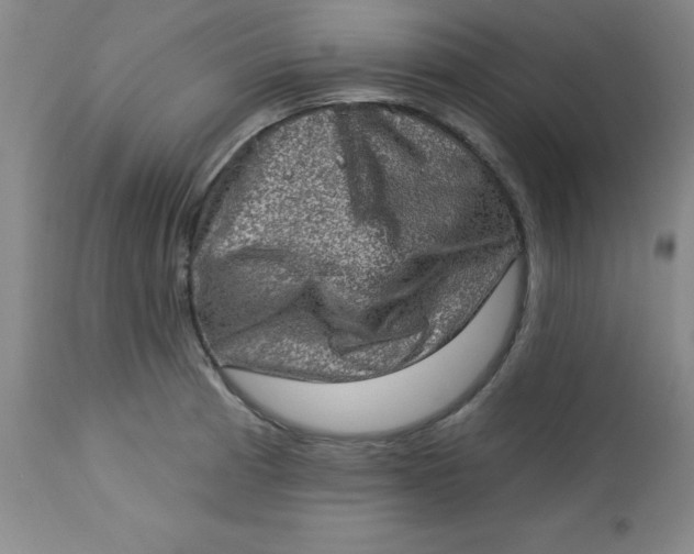 X0000113631185200910091548