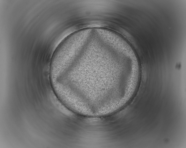 X0000113631186200910091548