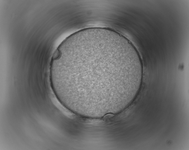 X0000113631187200910091548