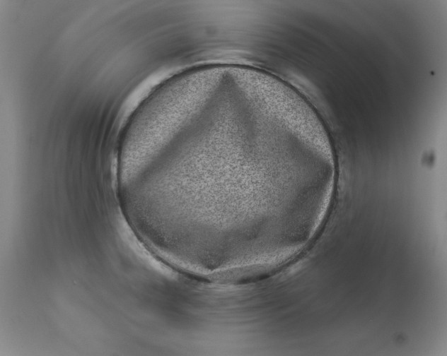 X0000113631188200910091548