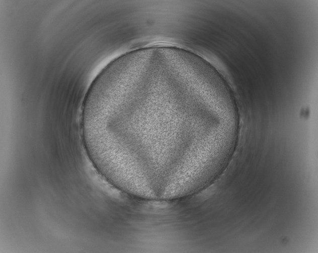 X0000113631190200910091548