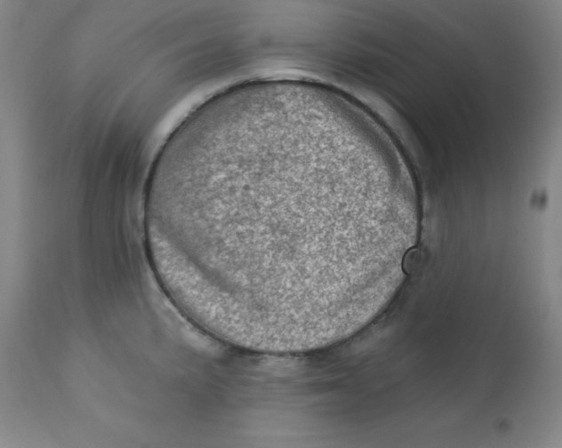 X0000113631191200910091548