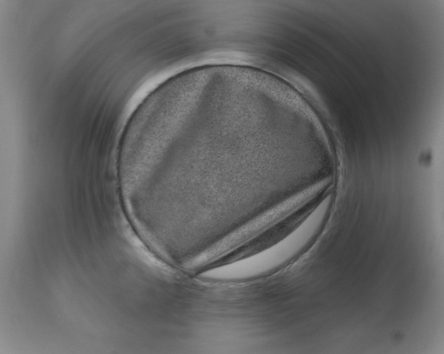 X0000113631192200910091548