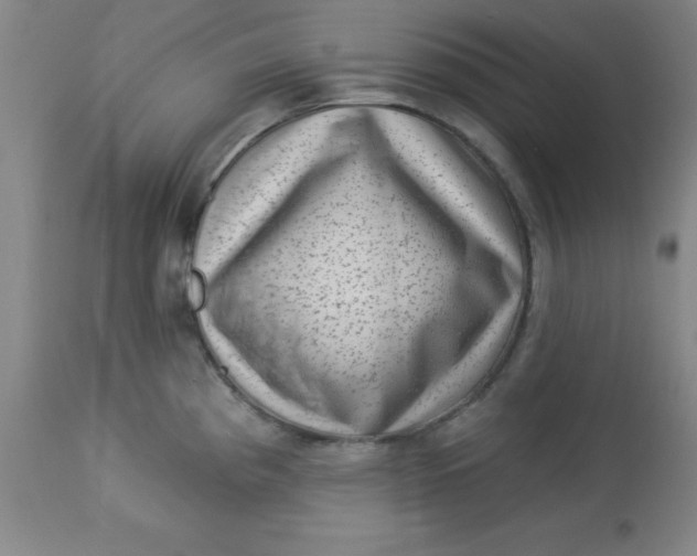 X0000113631193200910091548