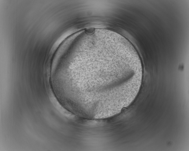X0000113631195200910091548