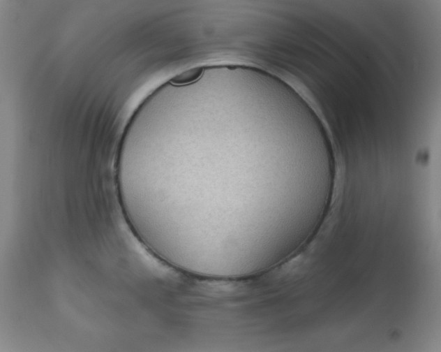 X0000113631197200910091548
