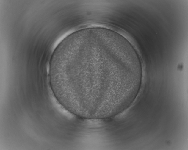 X0000113631198200910091548