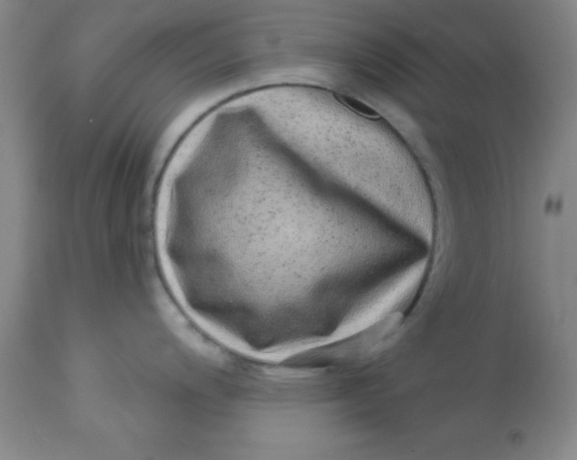 X0000113631200200910091548