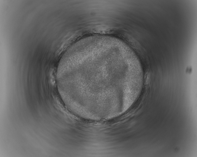 X0000113631202200910091547