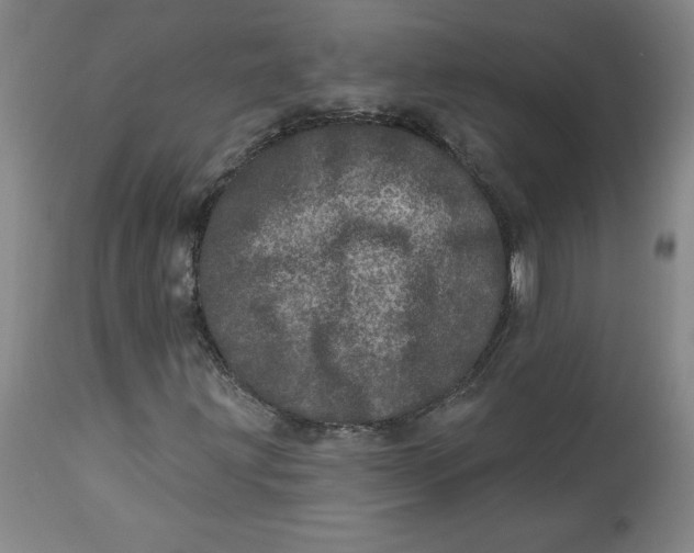 X0000113631203200910091547