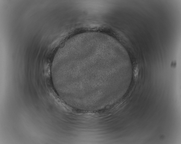 X0000113631204200910091547