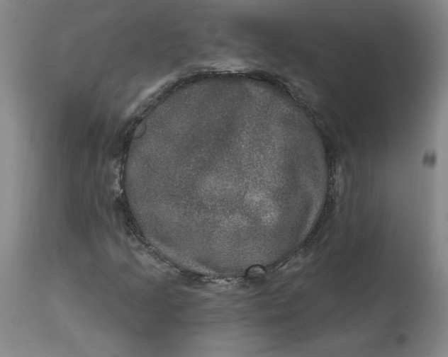 X0000113631205200910091547
