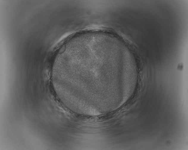 X0000113631206200910091547