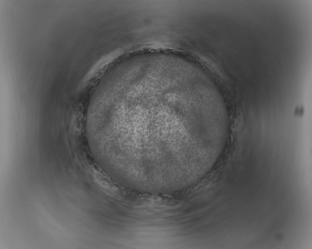 X0000113631207200910091547