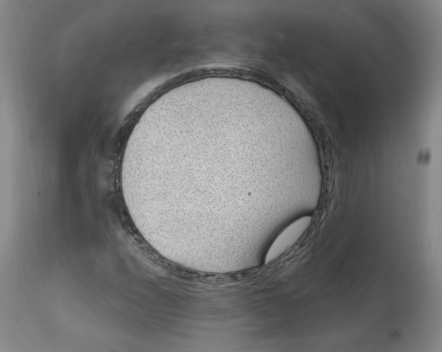 X0000113631208200910091547