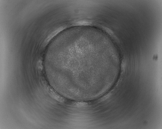 X0000113631209200910091547