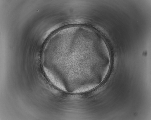 X0000113631210200910091547