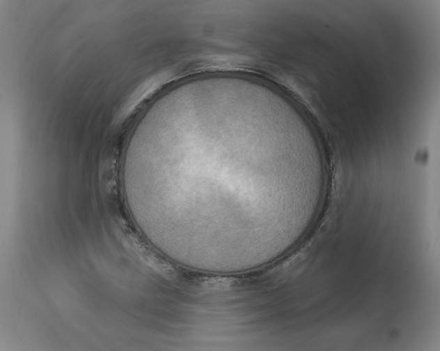 X0000113631211200910091547