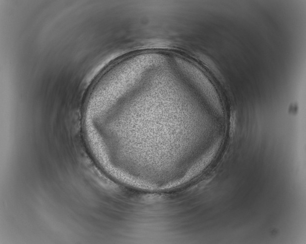 X0000113631212200910091547