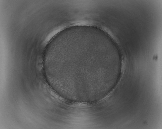 X0000113631213200910091547