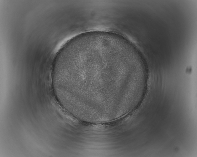 X0000113631214200910091547