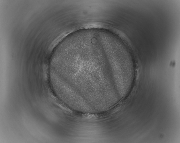 X0000113631217200910091548